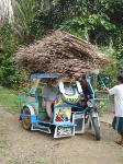 Meaningful Volunteer program photo