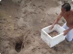 Juara Turtle Project program photo