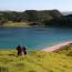 New Zealand volunteer conservation summer program