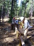 Volunteer in USA