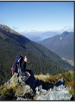 Humanities and Health Sciences in New Zealand