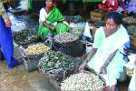 Study abroad in Mangalore, India 