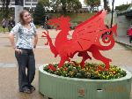 Study in Bangor, Wales