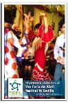 TEFL Institute  program photo
