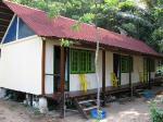 Juara Turtle Project program photo