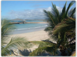Isabela Oceanographic Institute program photo