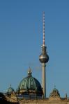 Study in Germany