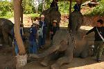 Kaya Responsible Travel program photo