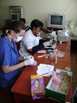 ProWorld  program photo