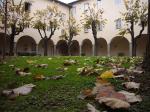 study Italian language in Florence