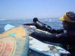 Pichilemu Language School (OLAS -CHILE) program photo