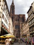 Study in France