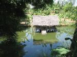 Study abroad in Pondicherry, India