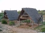 Study abroad in Pondicherry, India