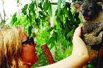 Arcadia University: The College of Global Studies program photo
