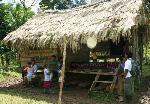 Tropical Adventures Foundation program photo