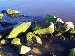 Study abroad in Derry, Ireland