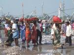 Study abroad in Mangalore, India 