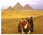 TEFL Services International program photo