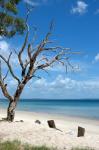 Australia, Fraser Island, Down Under