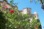 study in Malaga, Spain