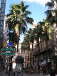 study in Malaga, Spain