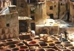 Arabic Language, Culture, and Society