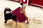 Internship Program in Spain