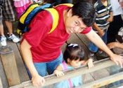 Joel Tan